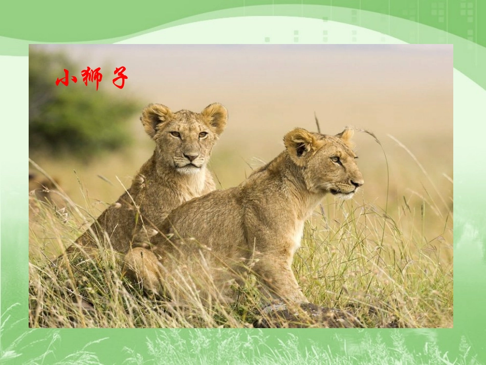 《小狮子爱尔莎》PPT课件[A版三年级语文下册]_第3页