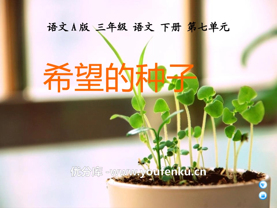 《希望的种子》PPT课件[A版三年级语文下册]_第1页