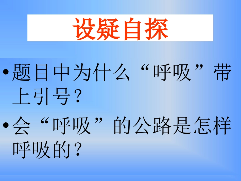 《会“呼吸”的公路》PPT课件[西师大版三年级语文上册]_第2页