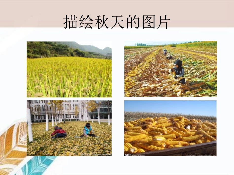 《秋的原野》PPT课件[A版四年级语文上册]_第3页