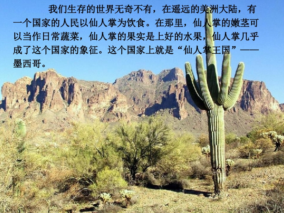 《仙人掌王国》PPT课件[A版四年级语文上册]_第3页