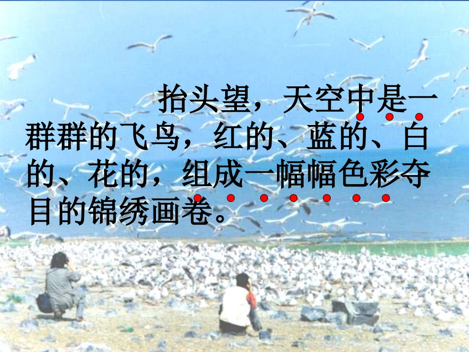 《神奇的鸟岛》PPT课件[A版四年级语文上册]_第3页