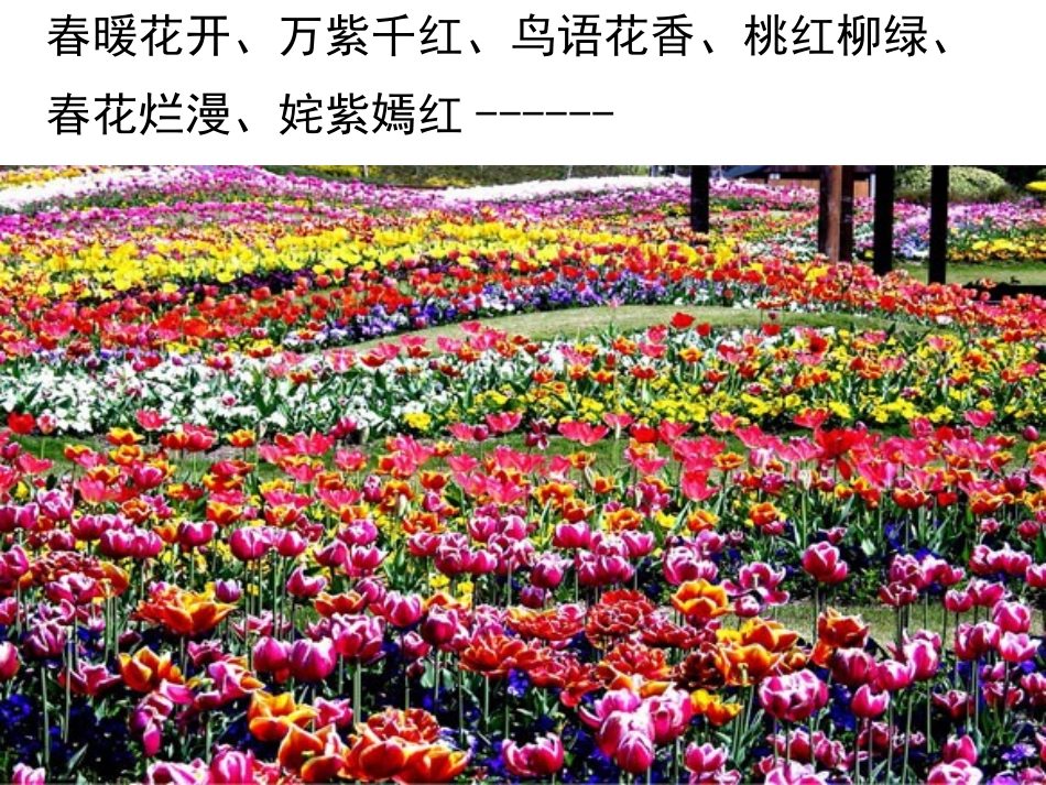 《游园不值》PPT课件[A版四年级语文下册]_第2页