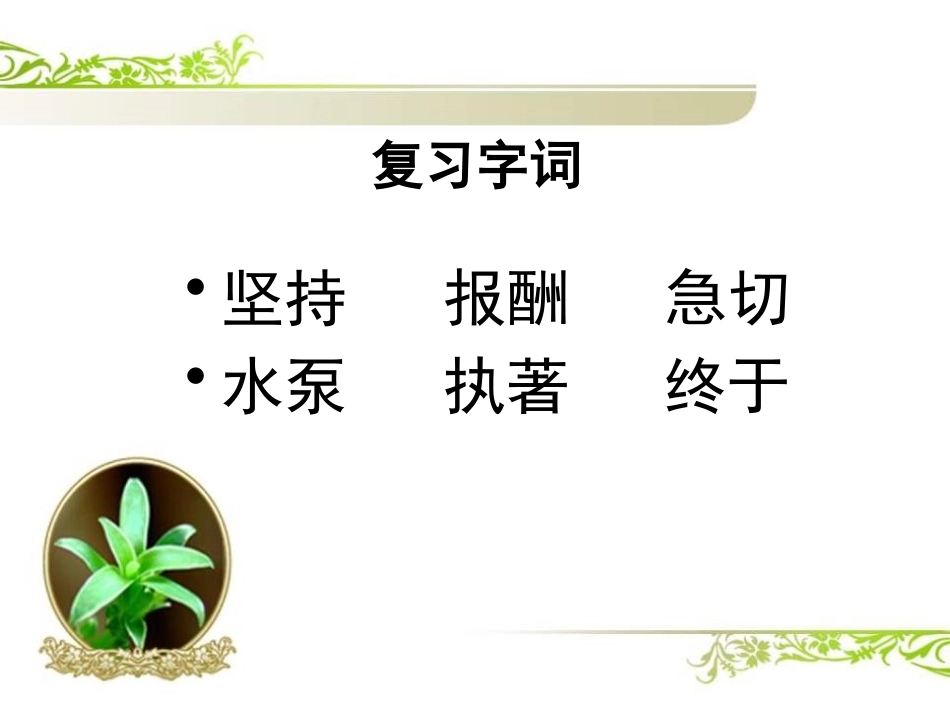 《瑞恩的愿望》PPT课件[A版四年级语文下册]_第2页