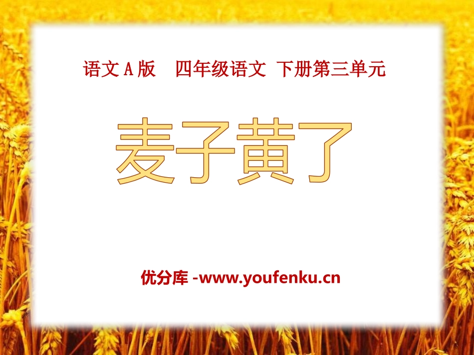 《麦子黄了》PPT课件[A版四年级语文下册]_第1页