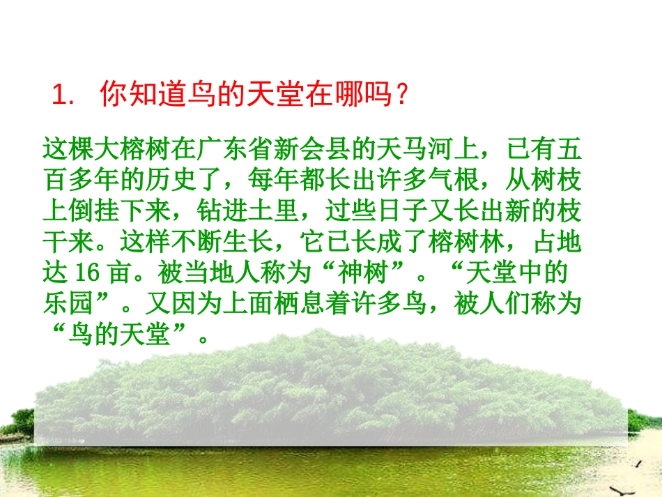 《鸟的天堂》PPT课件[A版四年级语文下册]_第1页