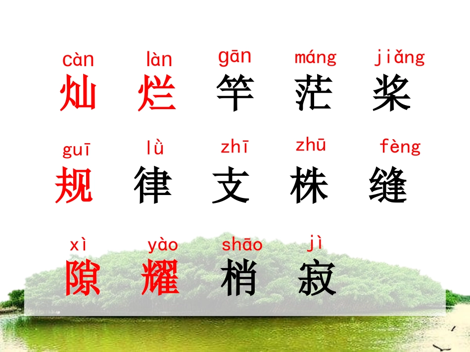 《鸟的天堂》PPT课件[A版四年级语文下册]_第3页