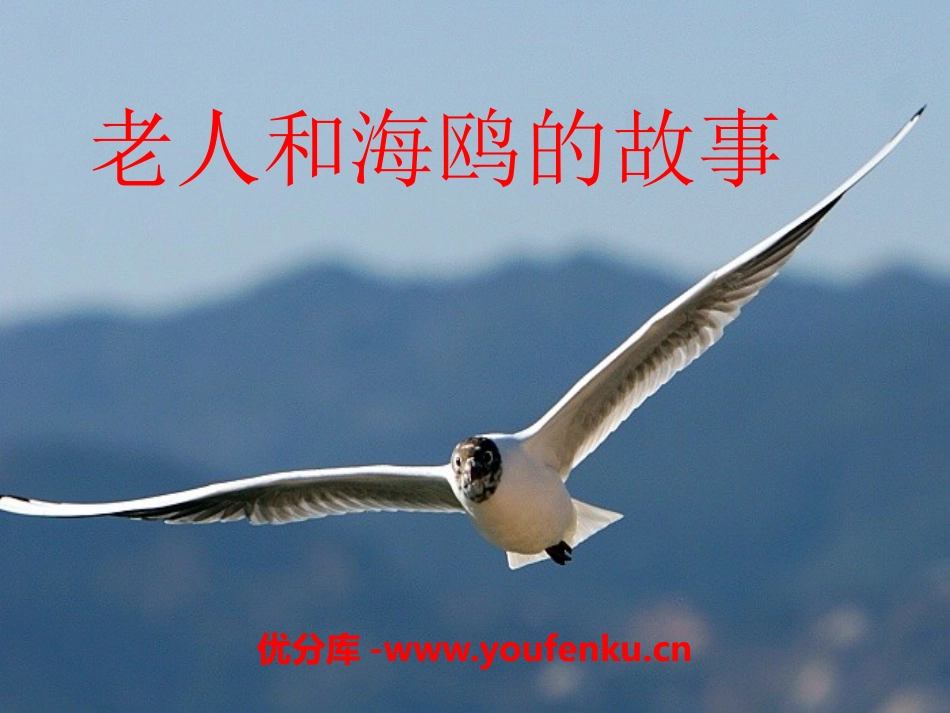 《老人和海鸥的故事》PPT课件[A版四年级语文下册]_第1页
