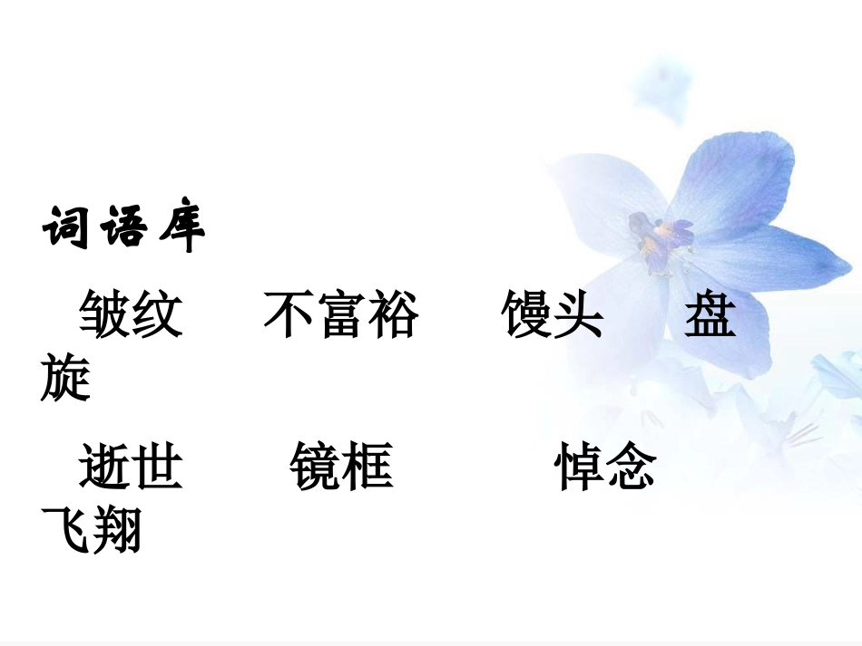 《老人和海鸥的故事》PPT课件[A版四年级语文下册]_第3页