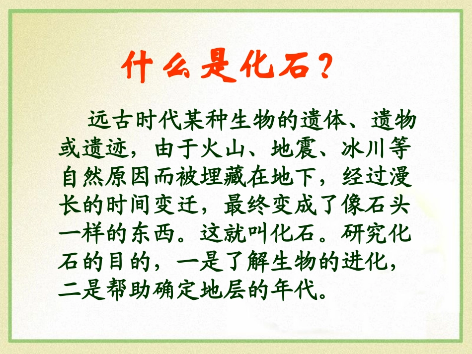 《化石吟》PPT课件[A版四年级语文下册]_第2页