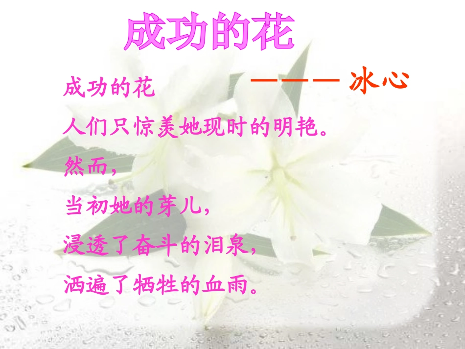 《心田上的百合花开》PPT课件[A版四年级语文下册]_第2页