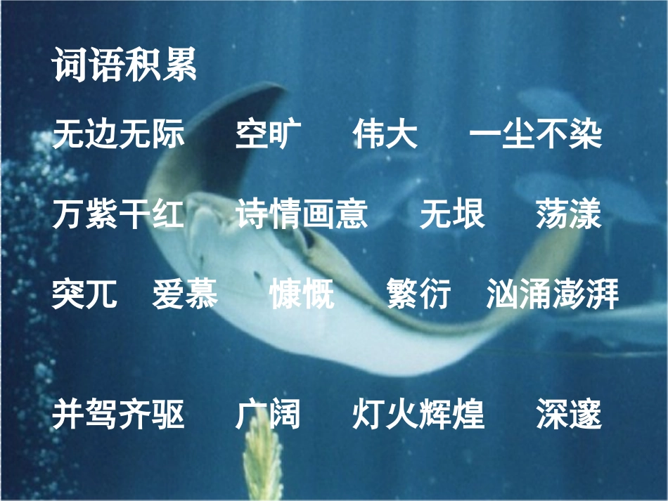 《富饶的海洋》PPT课件[A版五年级语文上册]_第2页