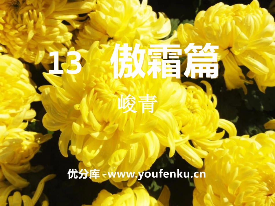 《傲霜篇》PPT课件[A版五年级语文上册]_第1页