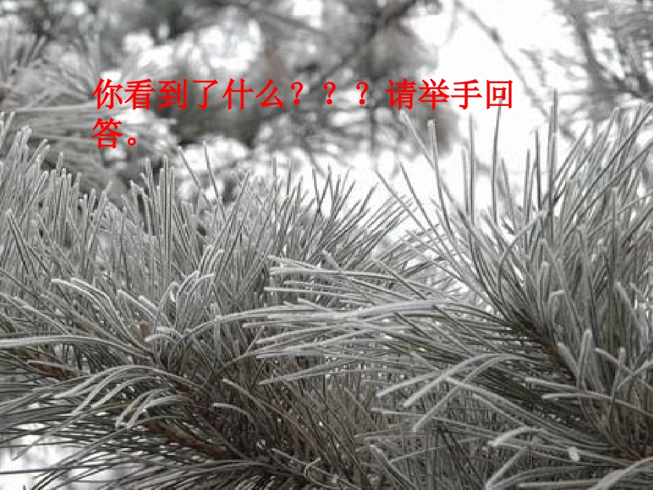 《傲霜篇》PPT课件[A版五年级语文上册]_第2页