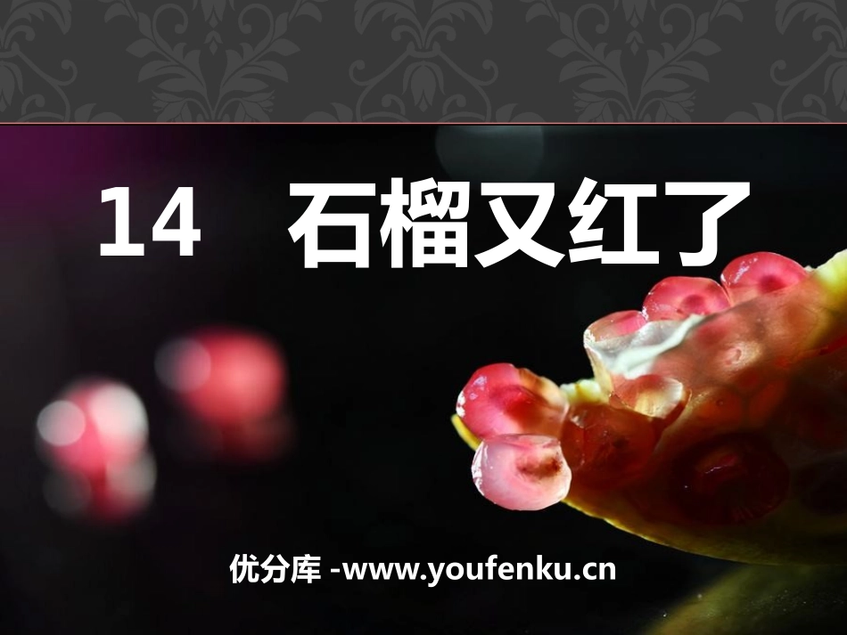《石榴又红了》PPT课件[A版五年级语文上册]_第1页