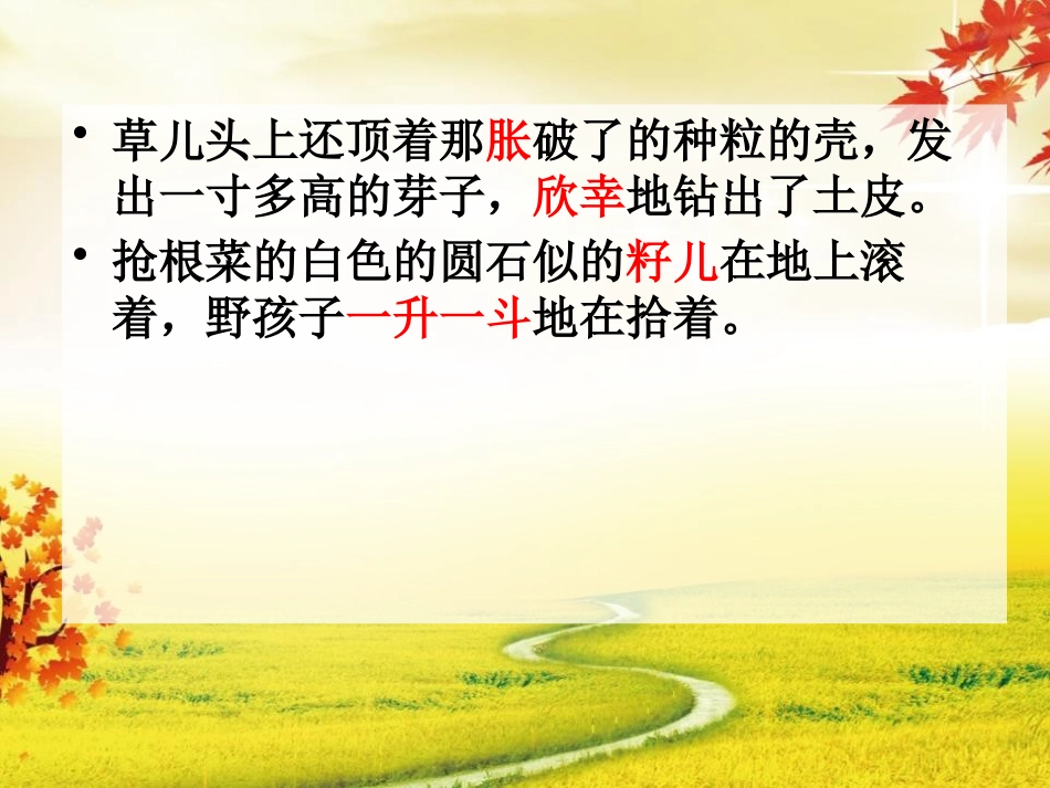 《三月的原野》PPT课件[A版五年级语文下册]_第3页