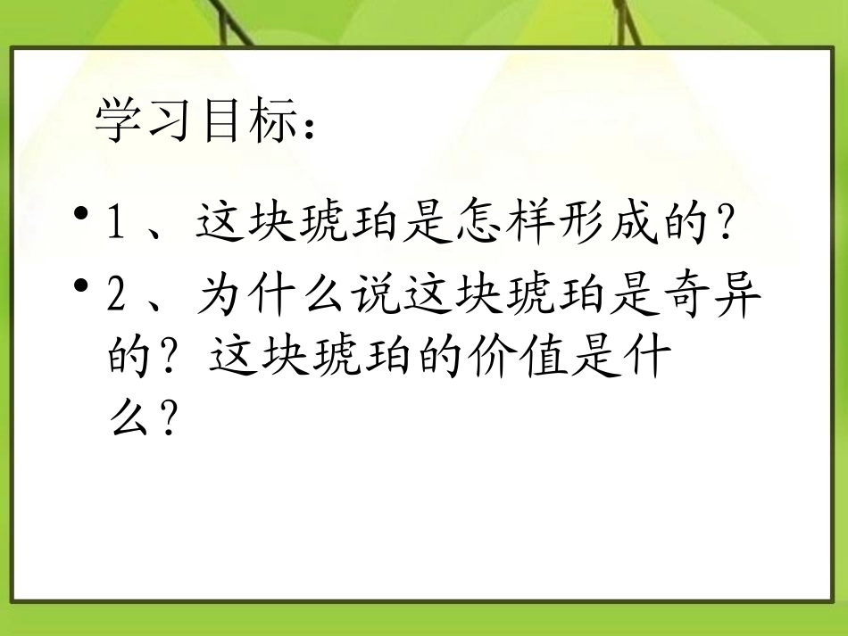 《奇异的琥珀》PPT课件[A版五年级语文下册]_第2页