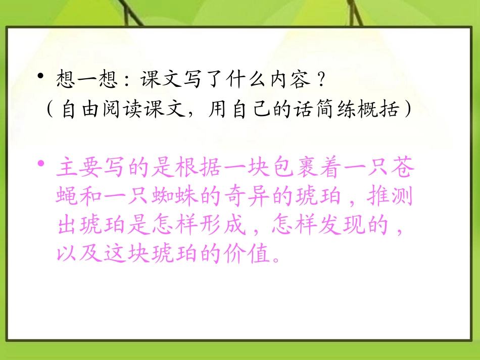 《奇异的琥珀》PPT课件[A版五年级语文下册]_第3页