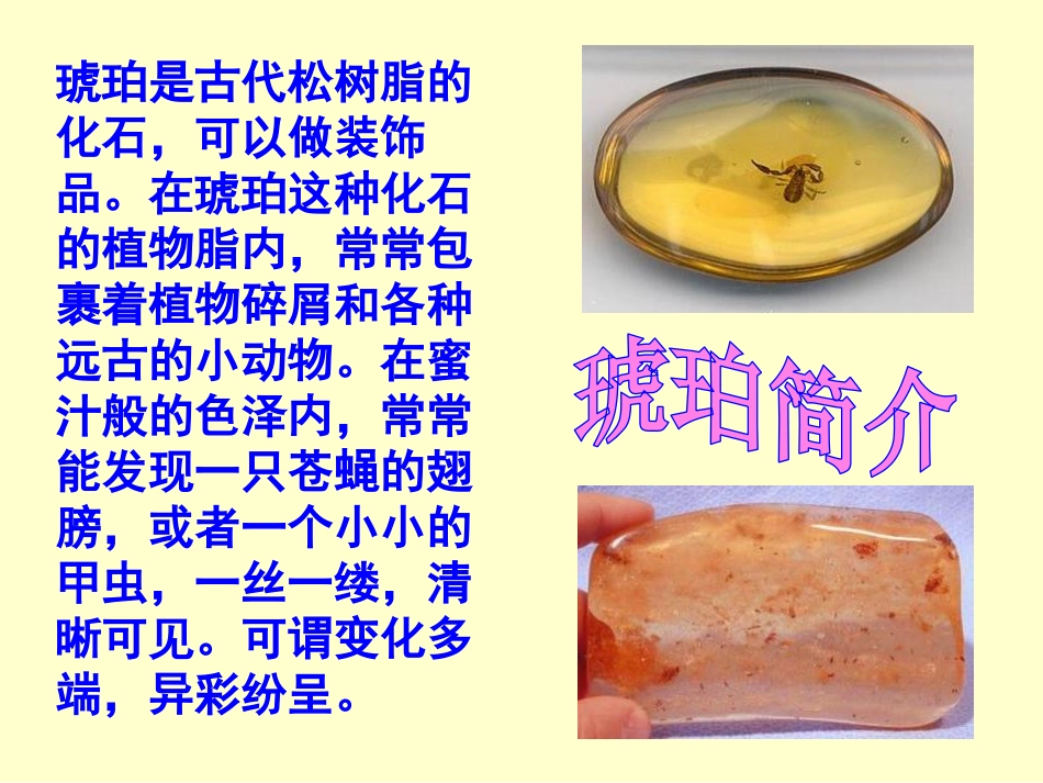 《奇异的琥珀》PPT课件[A版五年级语文下册]_第2页