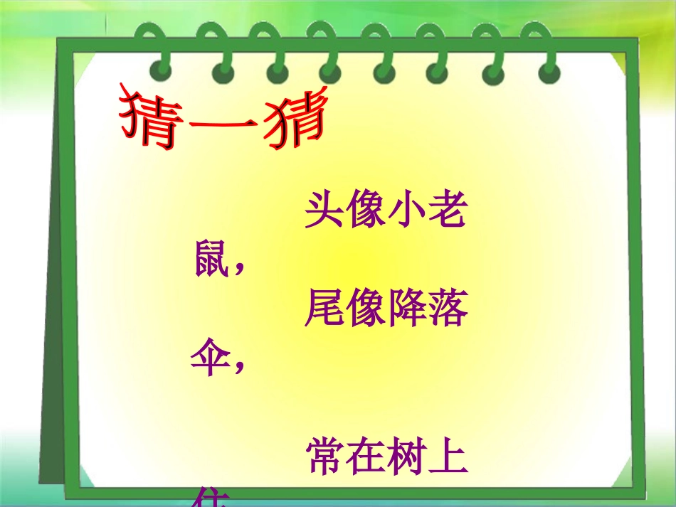 《松鼠》PPT课件[A版五年级语文下册]_第1页