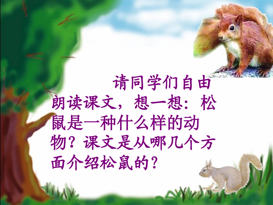 《松鼠》PPT课件[A版五年级语文下册]_第2页