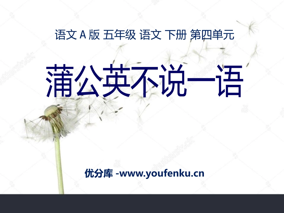 《蒲公英不说一语》PPT课件[A版五年级语文下册]_第1页