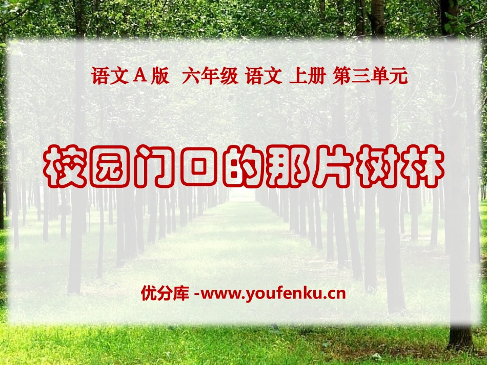 《校园门口的那片树林》PPT课件[A版六年级语文上册]_第1页