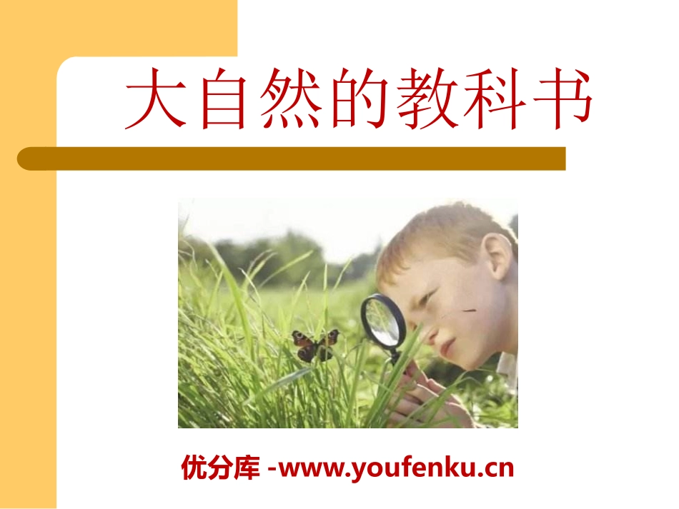 《大自然的教科书》PPT课件[A版六年级语文上册]_第1页