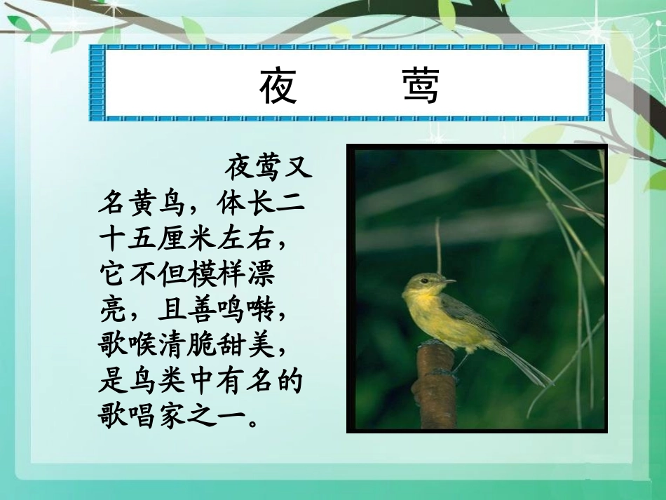 《夜莺之歌》PPT课件[A版六年级语文上册]_第2页