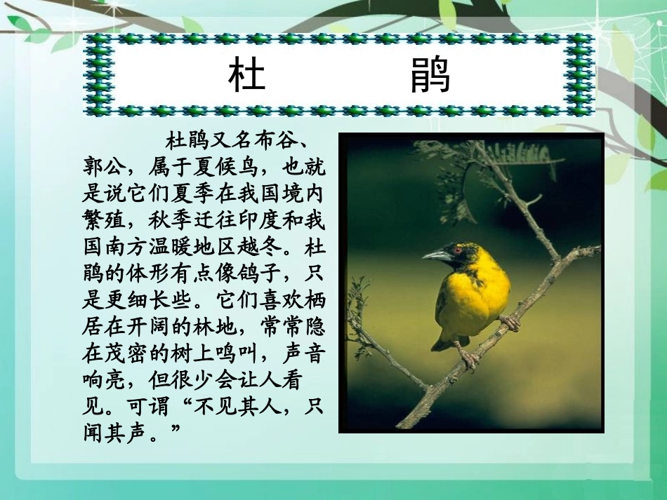 《夜莺之歌》PPT课件[A版六年级语文上册]_第3页