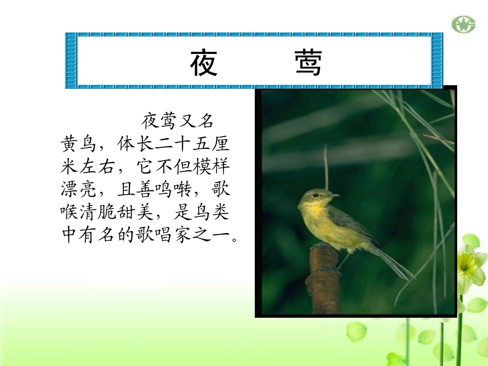 《夜莺之歌》PPT课件[A版六年级语文上册]_第2页