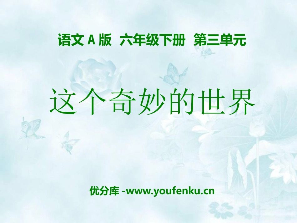 《这个奇妙的世界》PPT课件[A版六年级语文下册]_第1页
