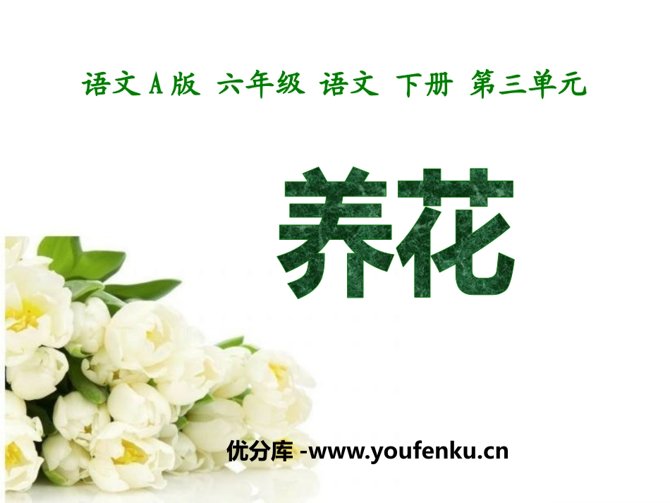 《养花》PPT课件[A版六年级语文下册]_第1页