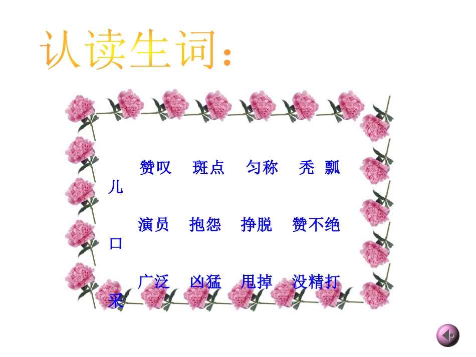 《一只梅花鹿》PPT课件[西师大版三年级语文上册]_第3页