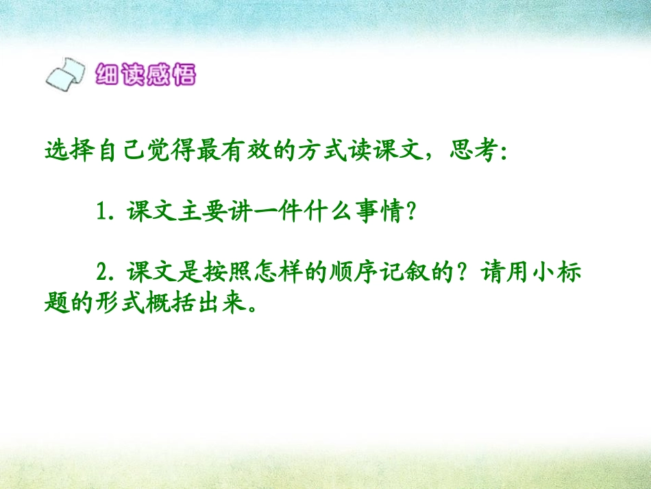 《鸡毛信》PPT课件[A版六年级语文下册]_第3页