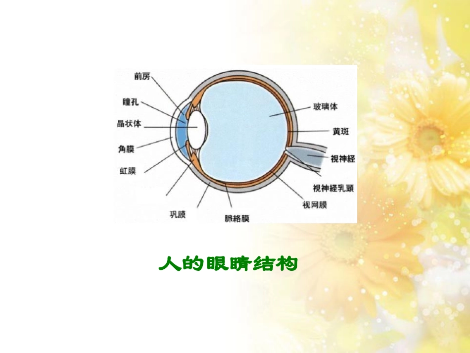 《永生的眼睛》PPT课件[A版六年级语文下册]_第1页