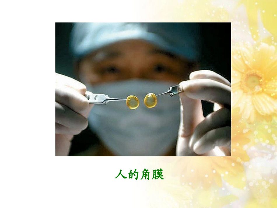 《永生的眼睛》PPT课件[A版六年级语文下册]_第2页