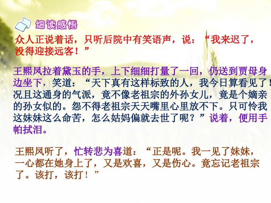 《黛玉初进荣国府》PPT课件[A版六年级语文下册]_第3页