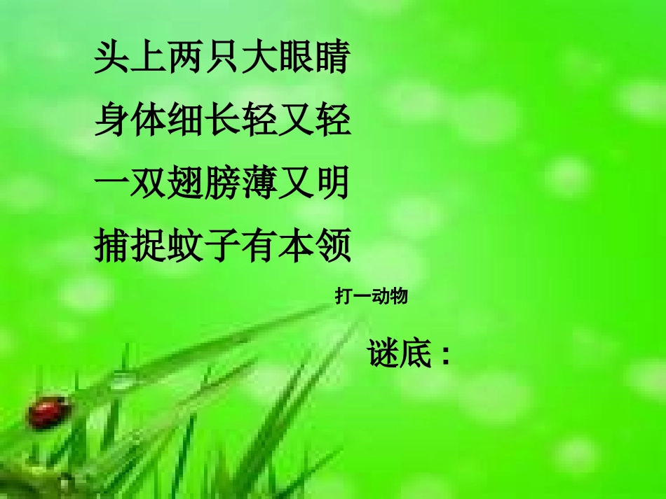 《小蜻蜓》PPT课件[一年级音乐下册]_第2页