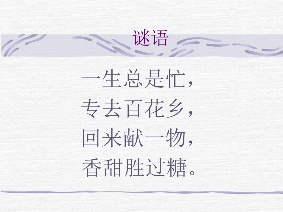 《小蜜蜂》PPT课件[二年级音乐下册]_第2页