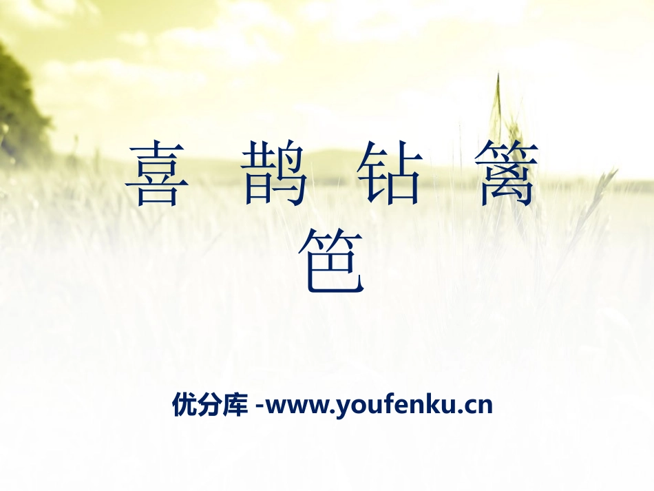 《喜鹊钻篱笆》PPT课件[二年级音乐下册]_第1页