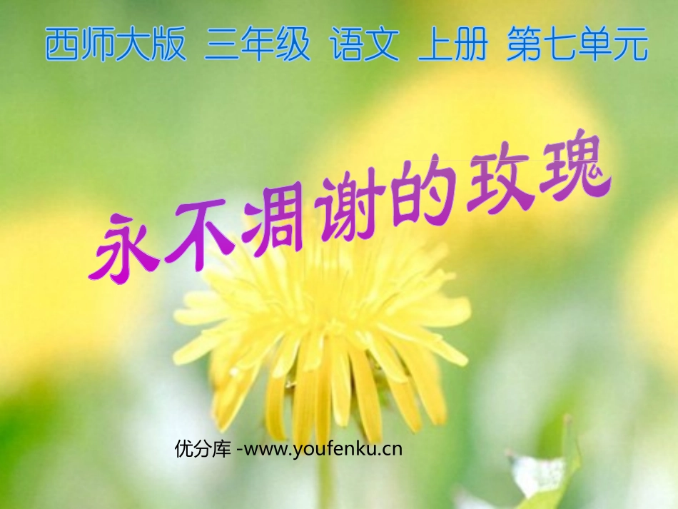 《永不凋谢的玫瑰》PPT课件[西师大版三年级语文上册]_第1页