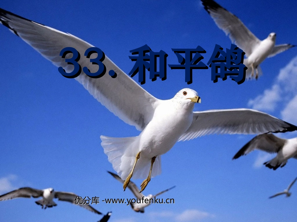 《和平鸽》PPT课件[西师大版三年级语文上册]_第1页