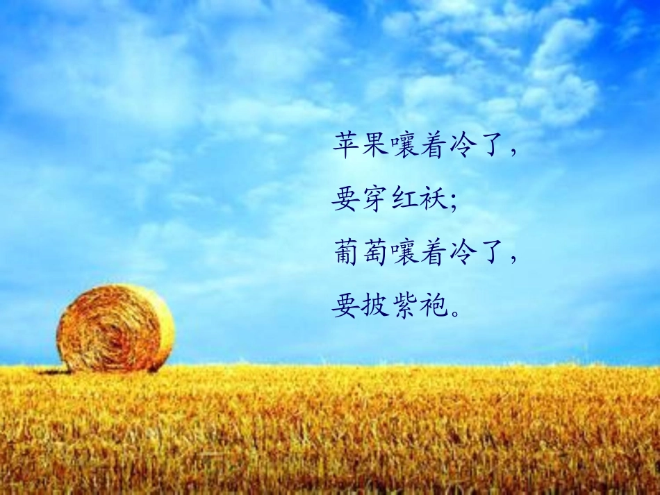 《秋天向我们微笑》PPT课件[西师大版四年级语文上册]_第2页
