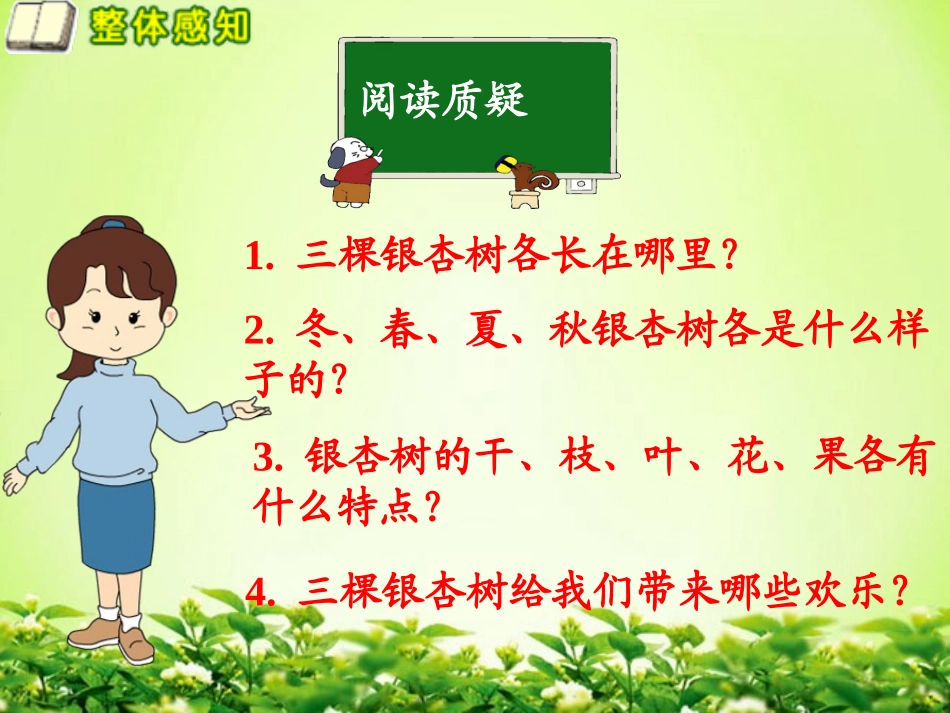 《三棵银杏树》PPT课件[西师大版四年级语文上册]_第3页