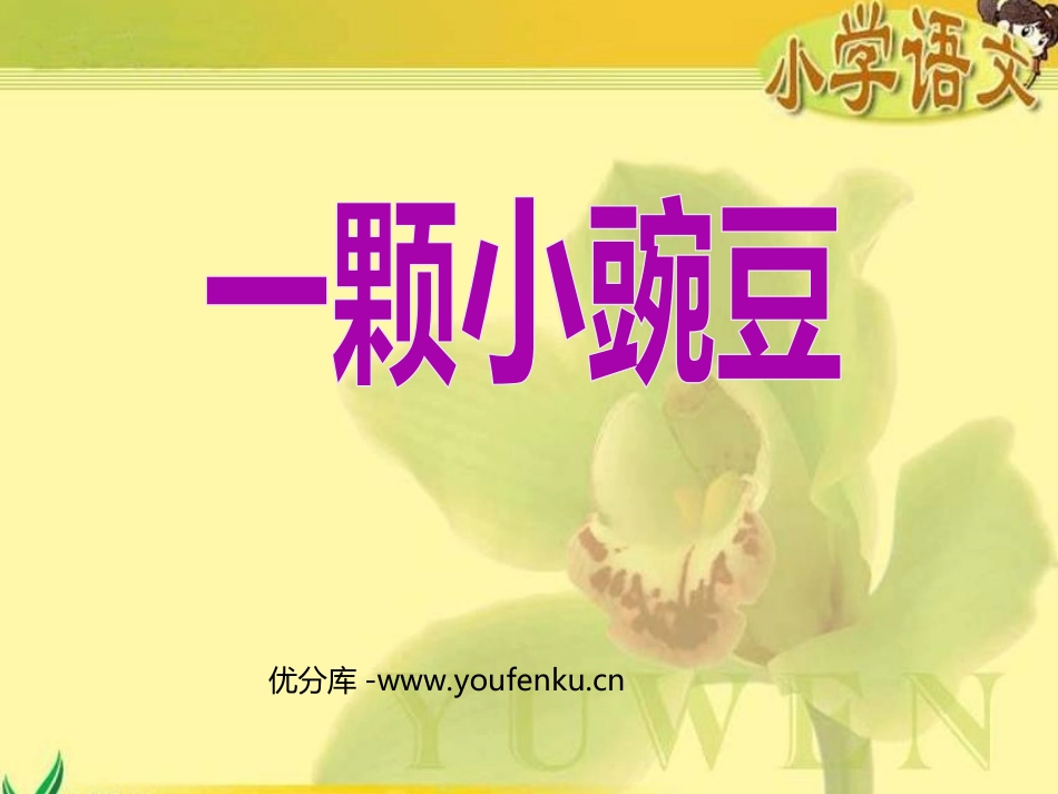《一颗小豌豆》PPT课件[西师大版四年级语文上册]_第1页