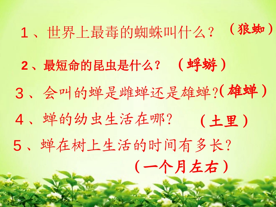 《金蝉脱壳》PPT课件[西师大版四年级语文上册]_第3页