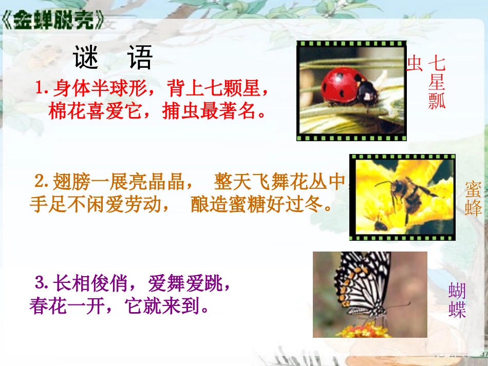 《金蝉脱壳》PPT课件[西师大版四年级语文上册]_第2页