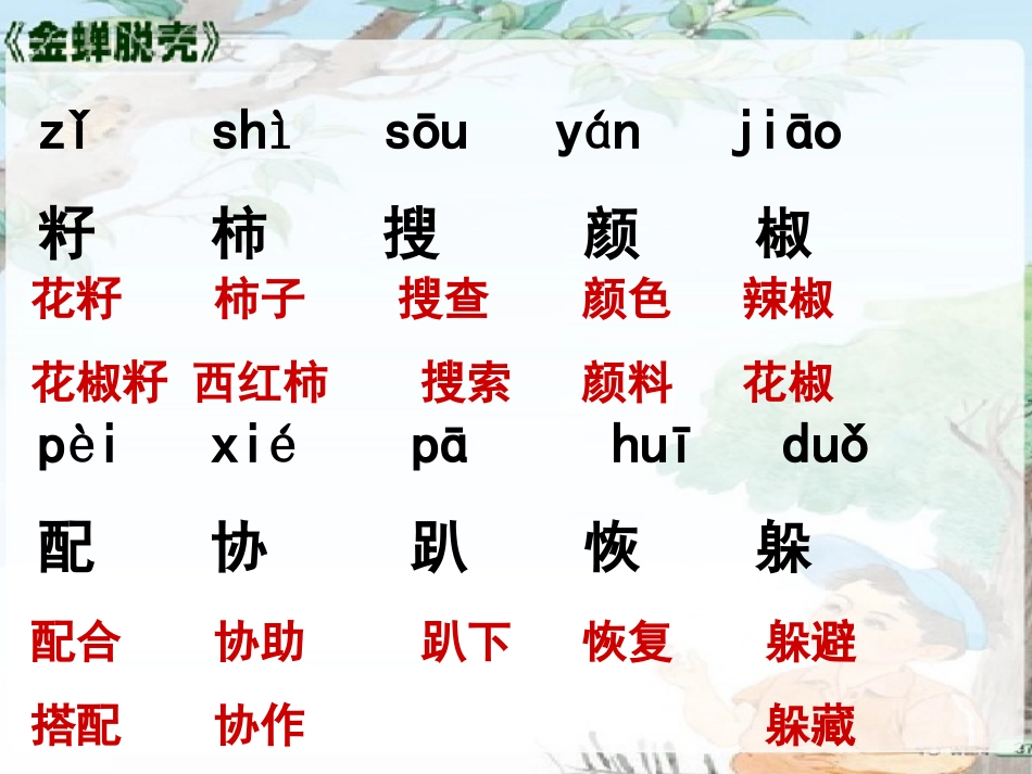 《金蝉脱壳》PPT课件[西师大版四年级语文上册]_第3页