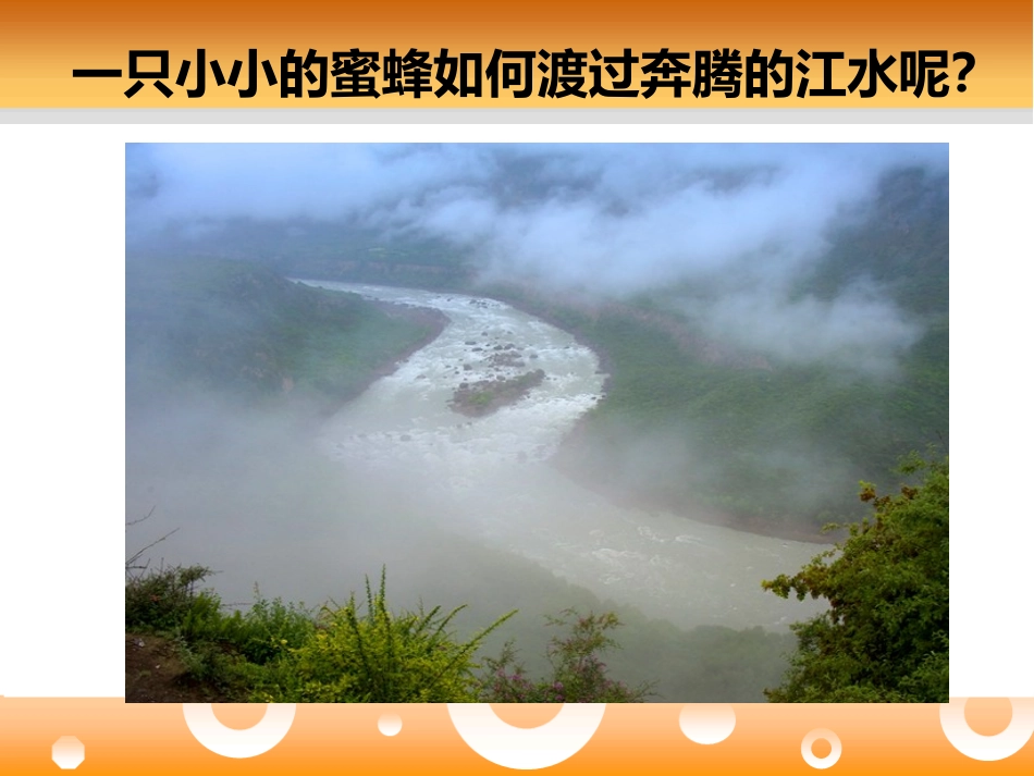 《蜜蜂过江》PPT课件[七年级音乐下册]_第3页